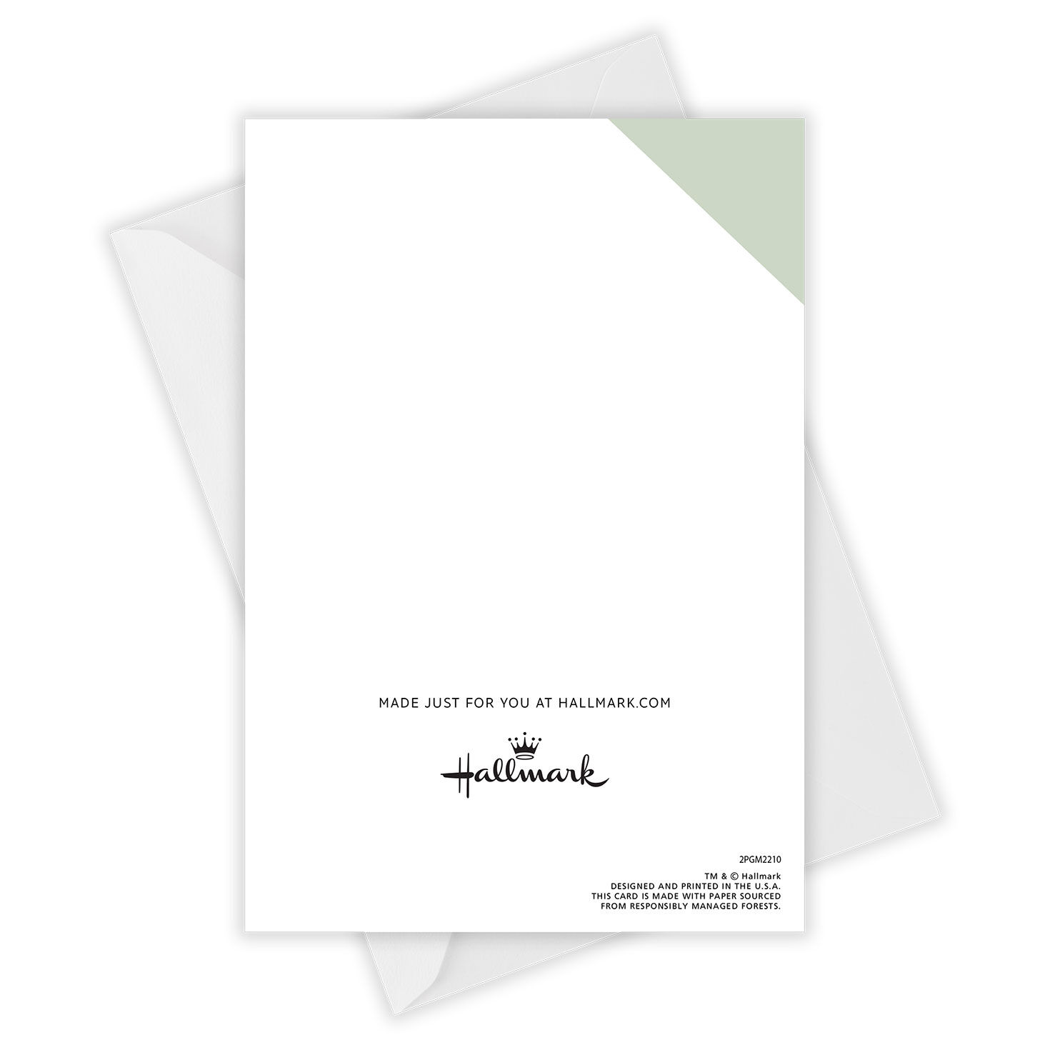 Instant Photo on Mint Folded Congratulations Photo Card  image number 5