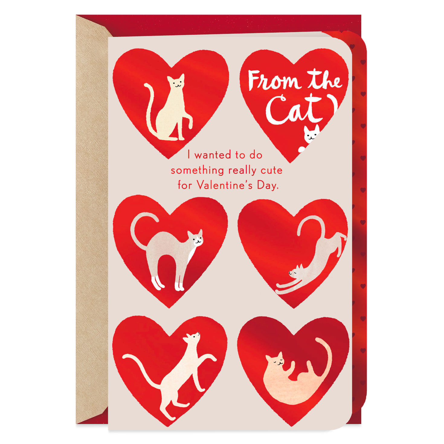 Really Cute Valentine S Day Card From Cat Greeting Cards Hallmark