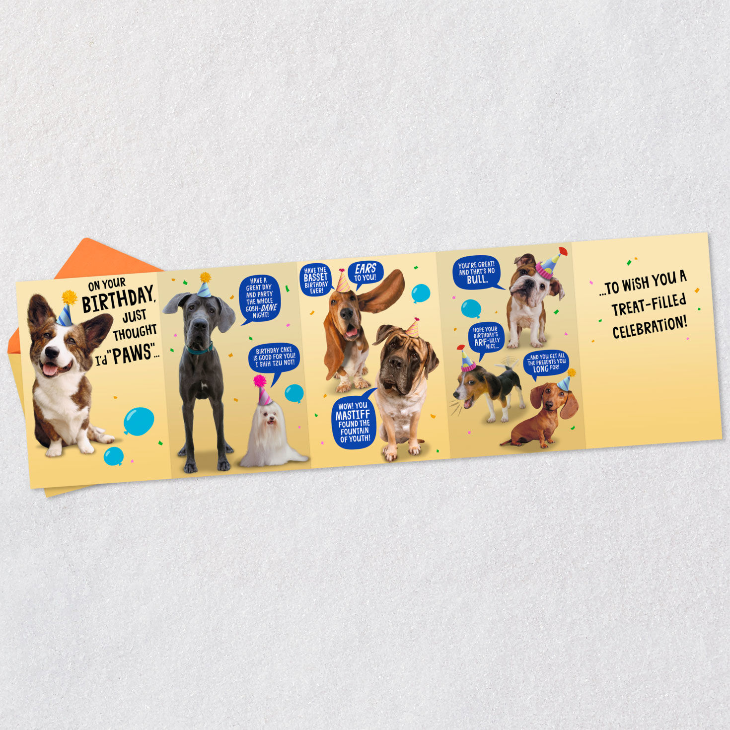Punny Dogs in Party Hats Funny Birthday Card Open card with envelope image number 6