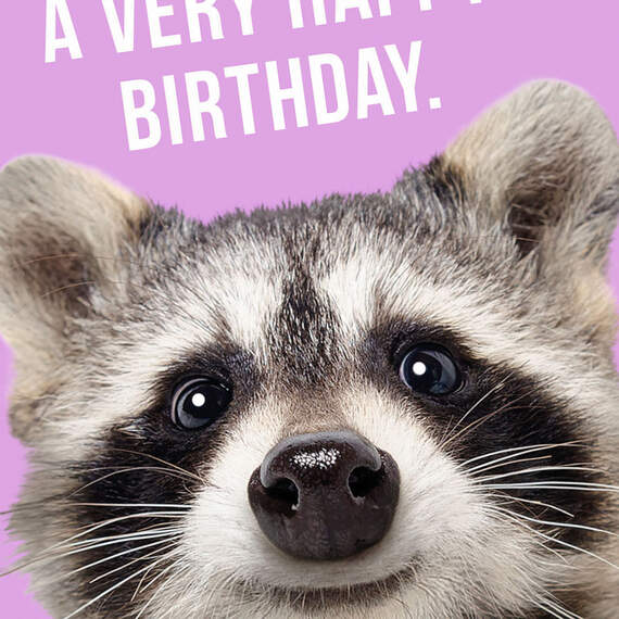 Friendly Trash Panda Funny Birthday Card, , large image number 4