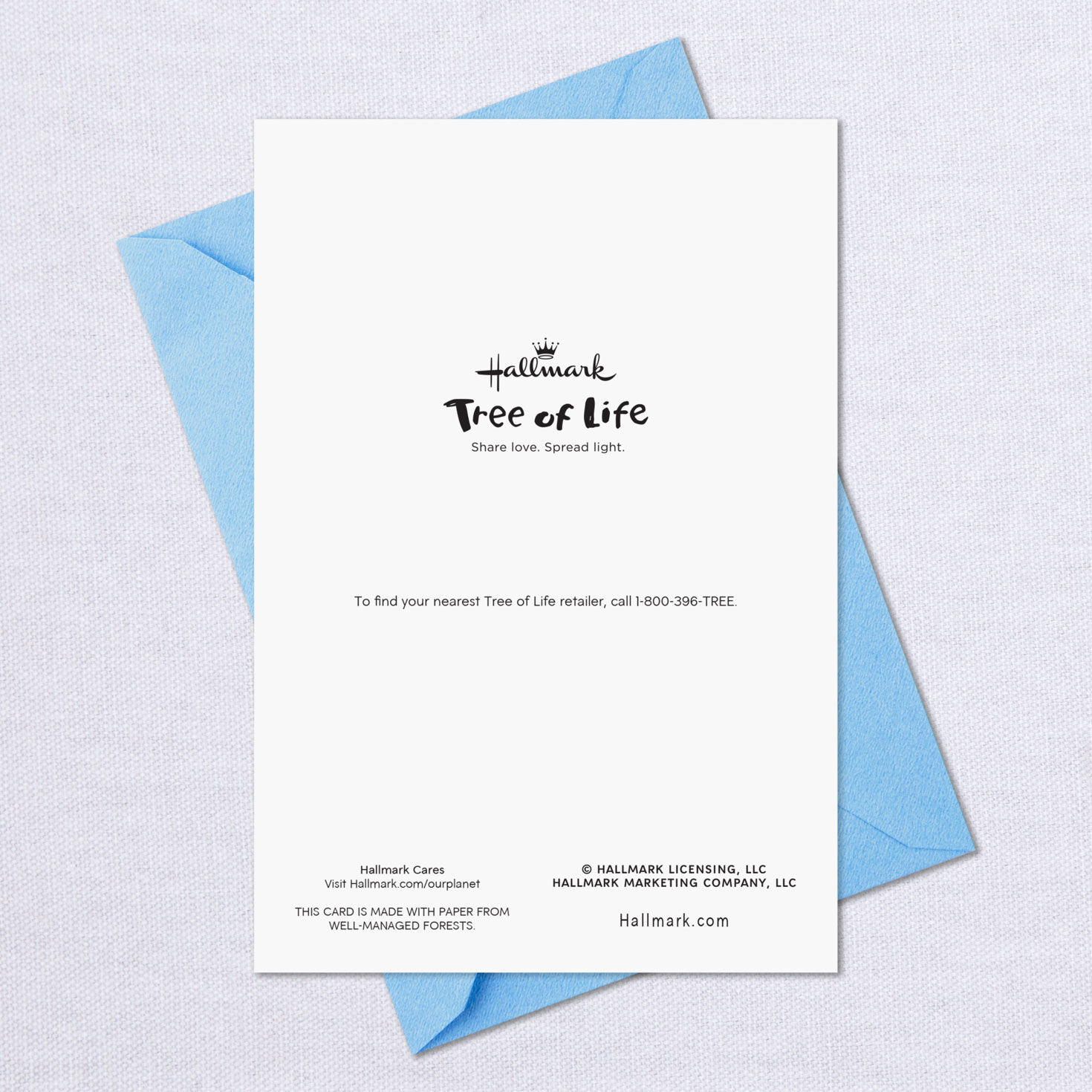 Green Herbs With Banner Passover Cards, Pack of 6, , large image number 6