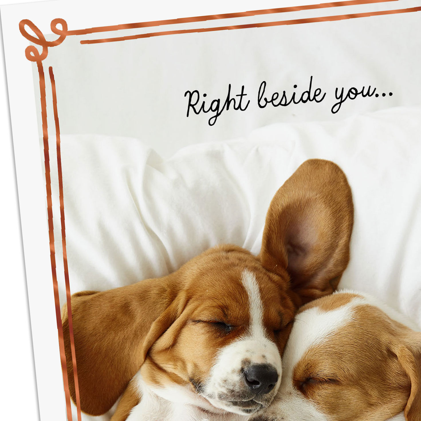 Cuddling Hound Dog Puppies Love Card  image number 4