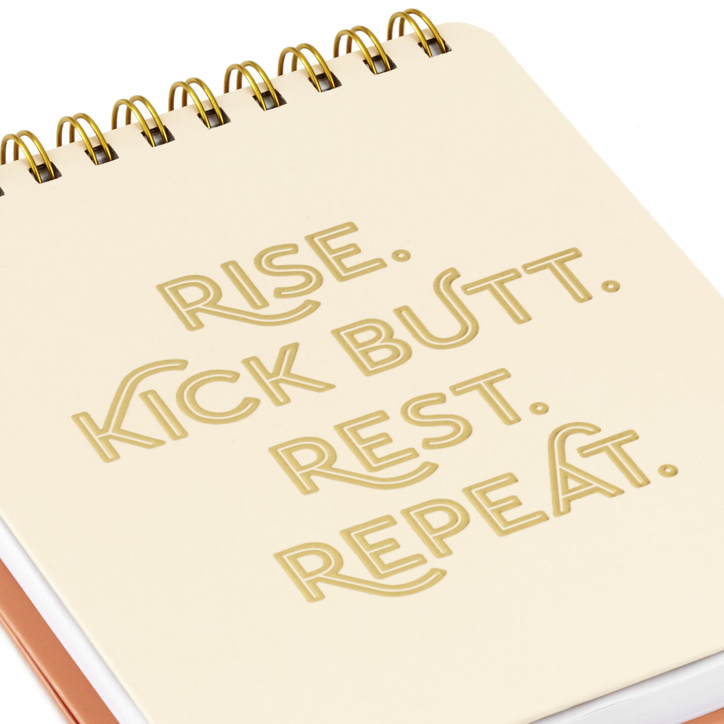 Kick Butt, Repeat Easel Notebook, , large image number 7