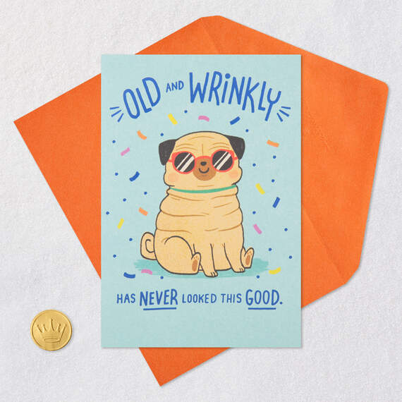 Old and Wrinkly Pug Funny Birthday Card, , large image number 5