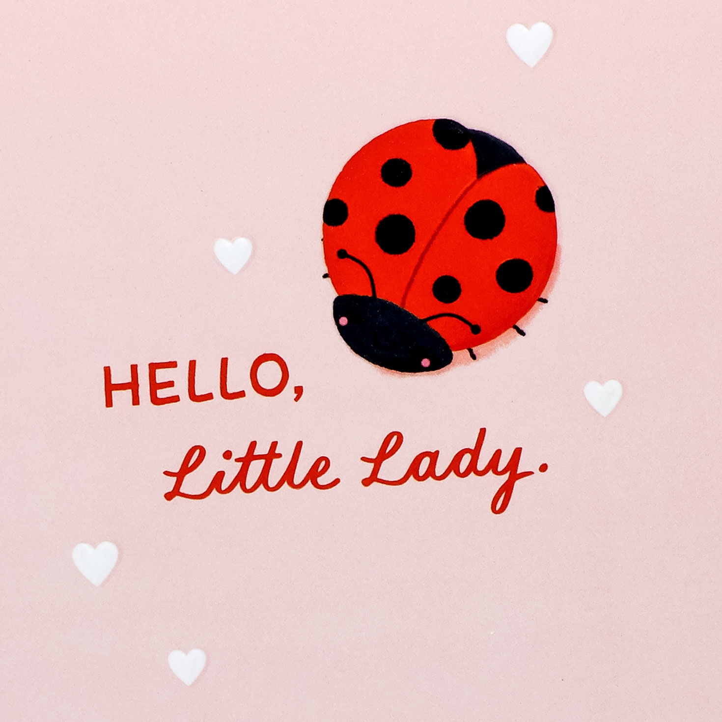 Ladybug on Pink New Baby Girl Card Card Front Detail image number 4