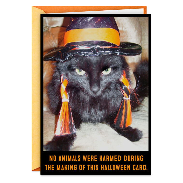 Angry Black Cat in Witch's Hat Funny Halloween Card