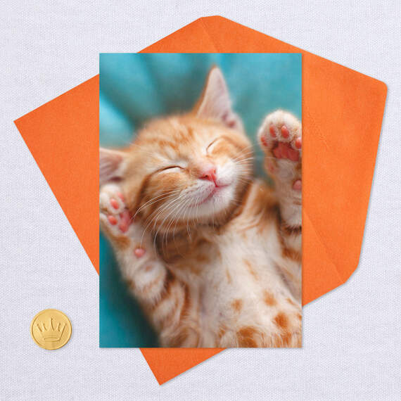 Kitten With To-Do List Get Well Card, , large image number 5