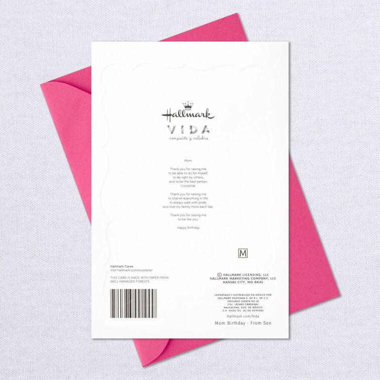 Thank You for Everything Spanish-Language Birthday Card for Mom, , large image number 7