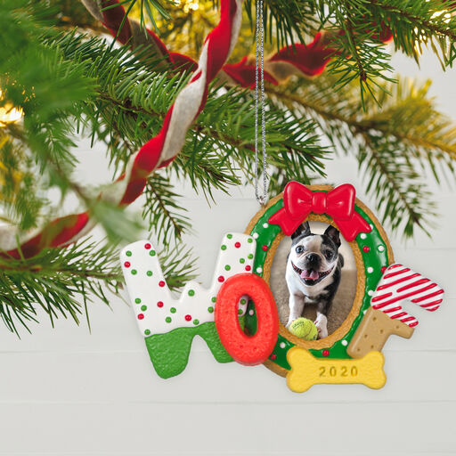 Gifts For Pet Lovers Gifts For Cat Dog Lovers Hallmark