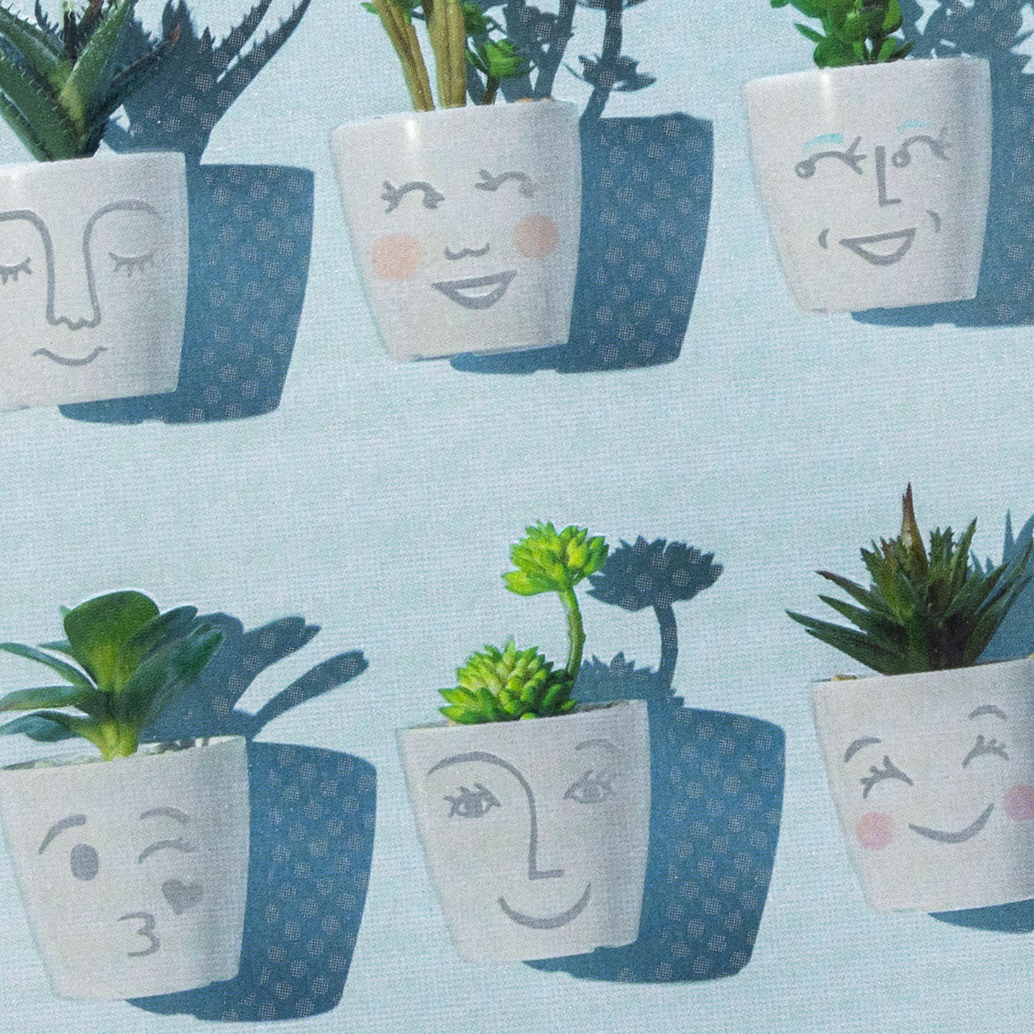 Smiling Succulent Plants Blank Card Card Front Detail image number 3