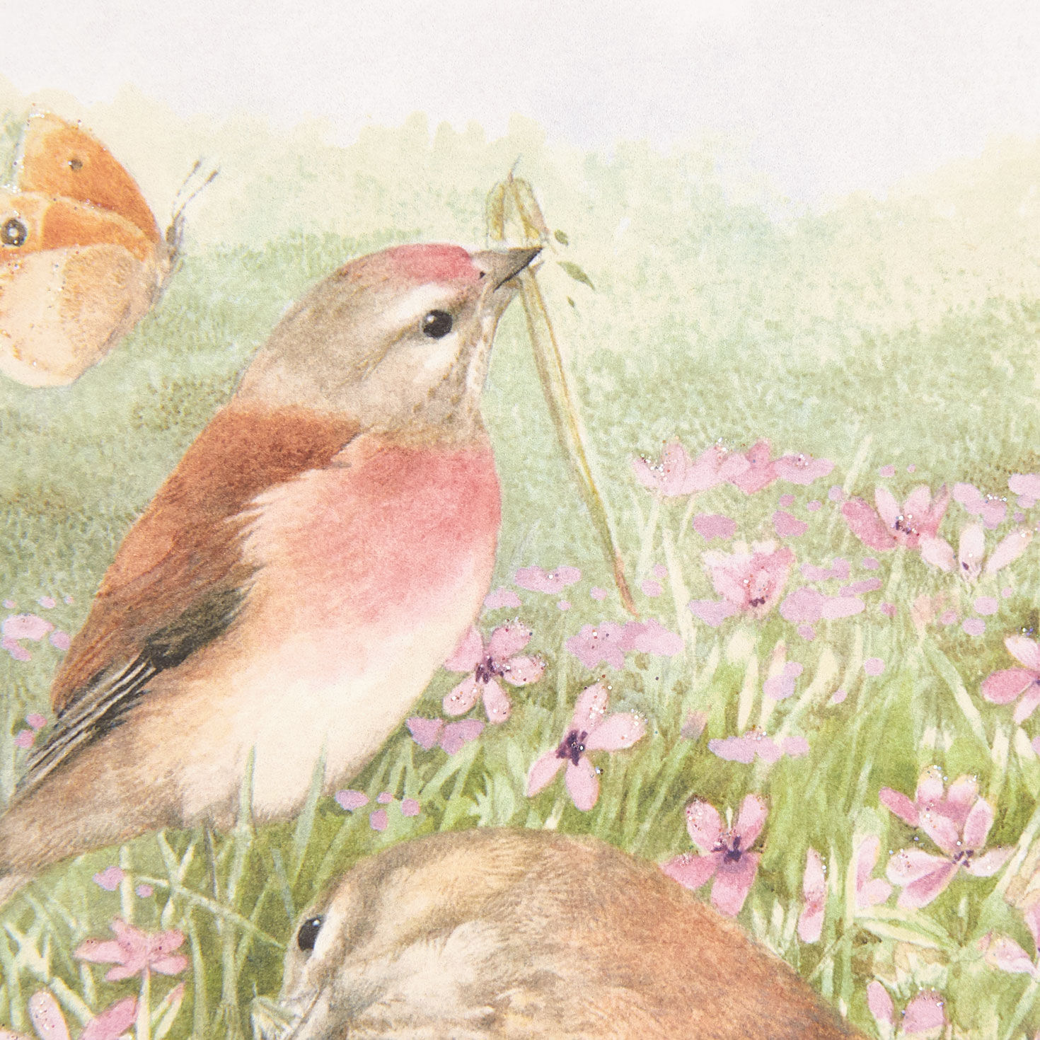 Marjolein Bastin Discover Good Things Birthday Card, , large image number 4