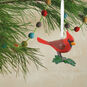 Cardinal Bird Christmas Ornament Hanging on tree image number 2
