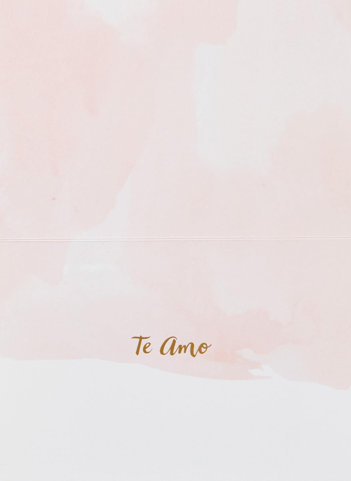 Te Amo Spanish Language Love Card