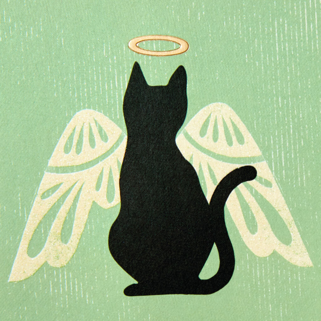 Cat Angel Pet Sympathy Card Greeting Cards Hallmark
