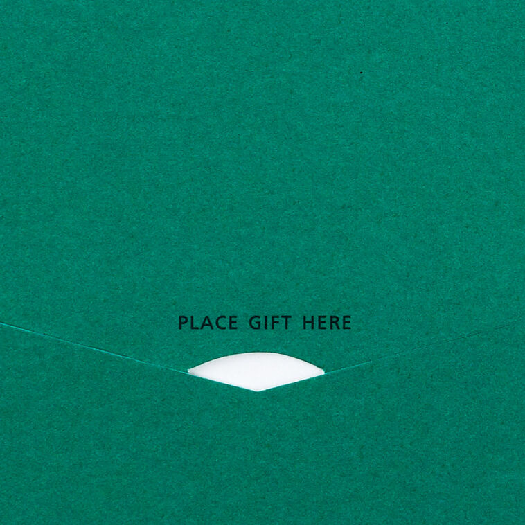 Nostalgic Santa Claus Money Holder Christmas Card Sentiment image number 3