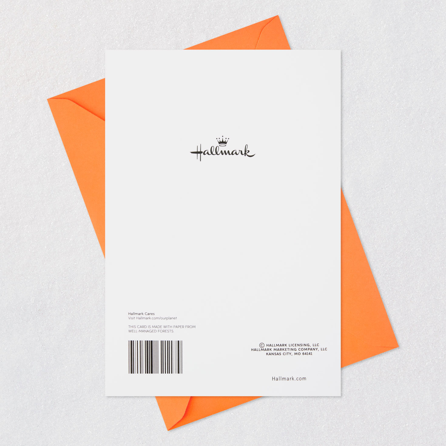 Another Candle on the Cake Birthday Card, , large image number 7