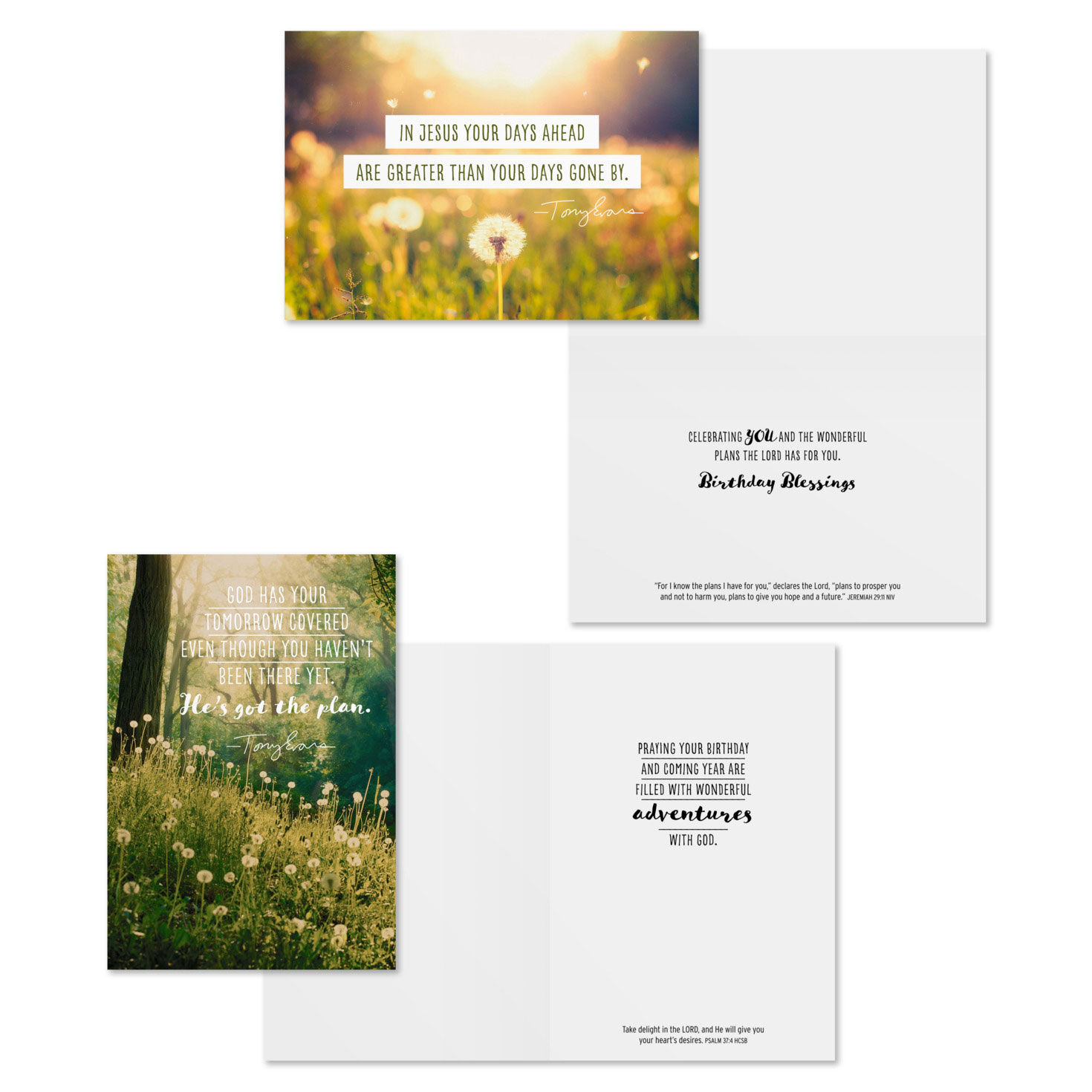 Tony Evans DaySpring Birthday Cards Assortment Card Front with Sentiment image number 3