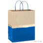 13" Blue and Kraft Paper 6-Pack Gift Bag, , large image number 4