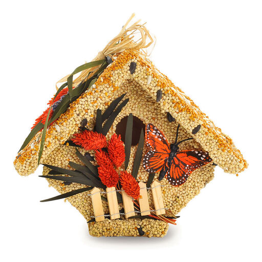 Mr. Bird All Season Wren Casita Birdhouse, 