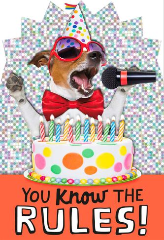 singing dog birthday card greeting cards hallmark singing cards