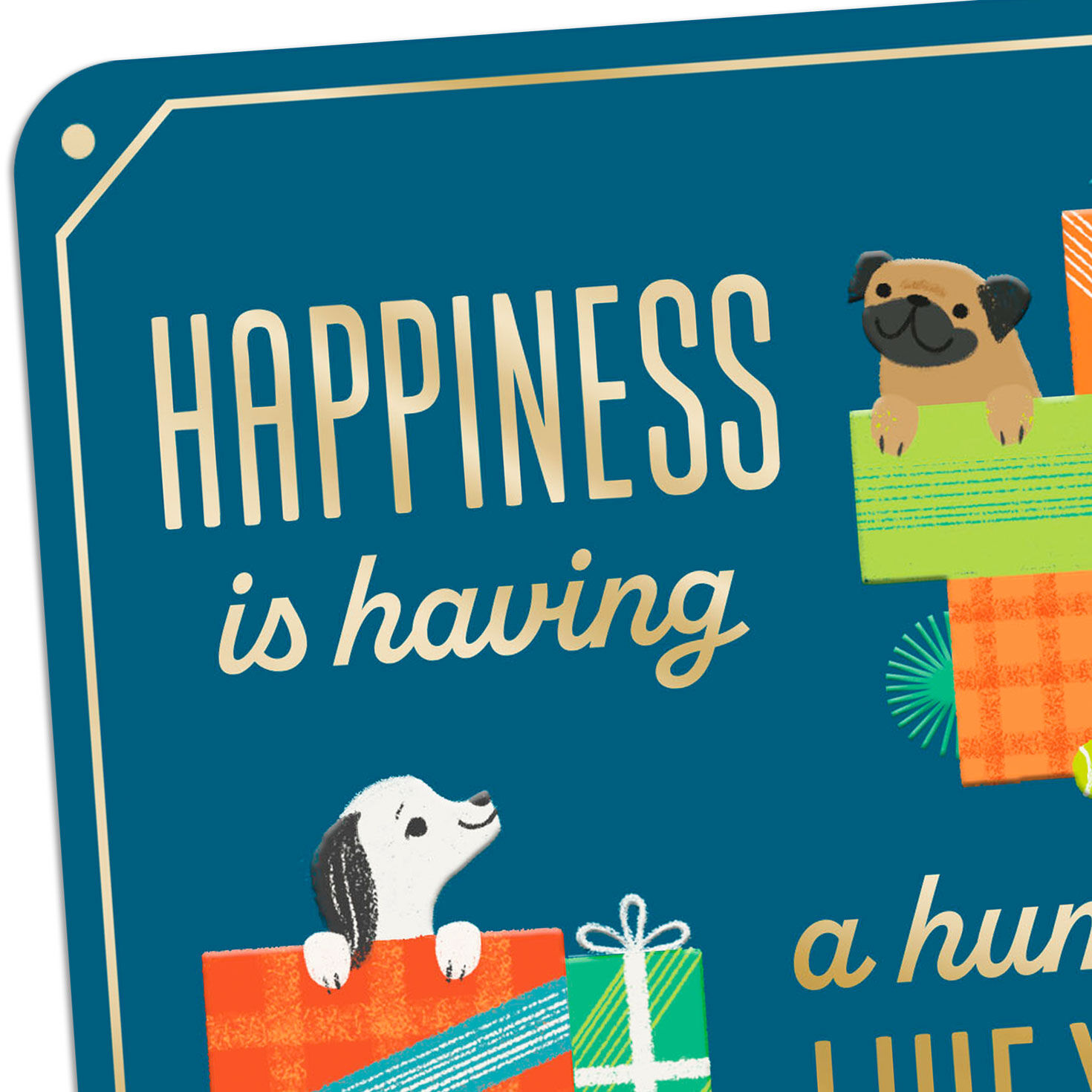 A Human Like You Birthday Card from Pets for only USD 2.99 | Hallmark