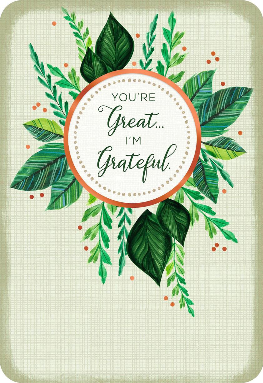 You're Great, I'm Grateful Thank You Card
