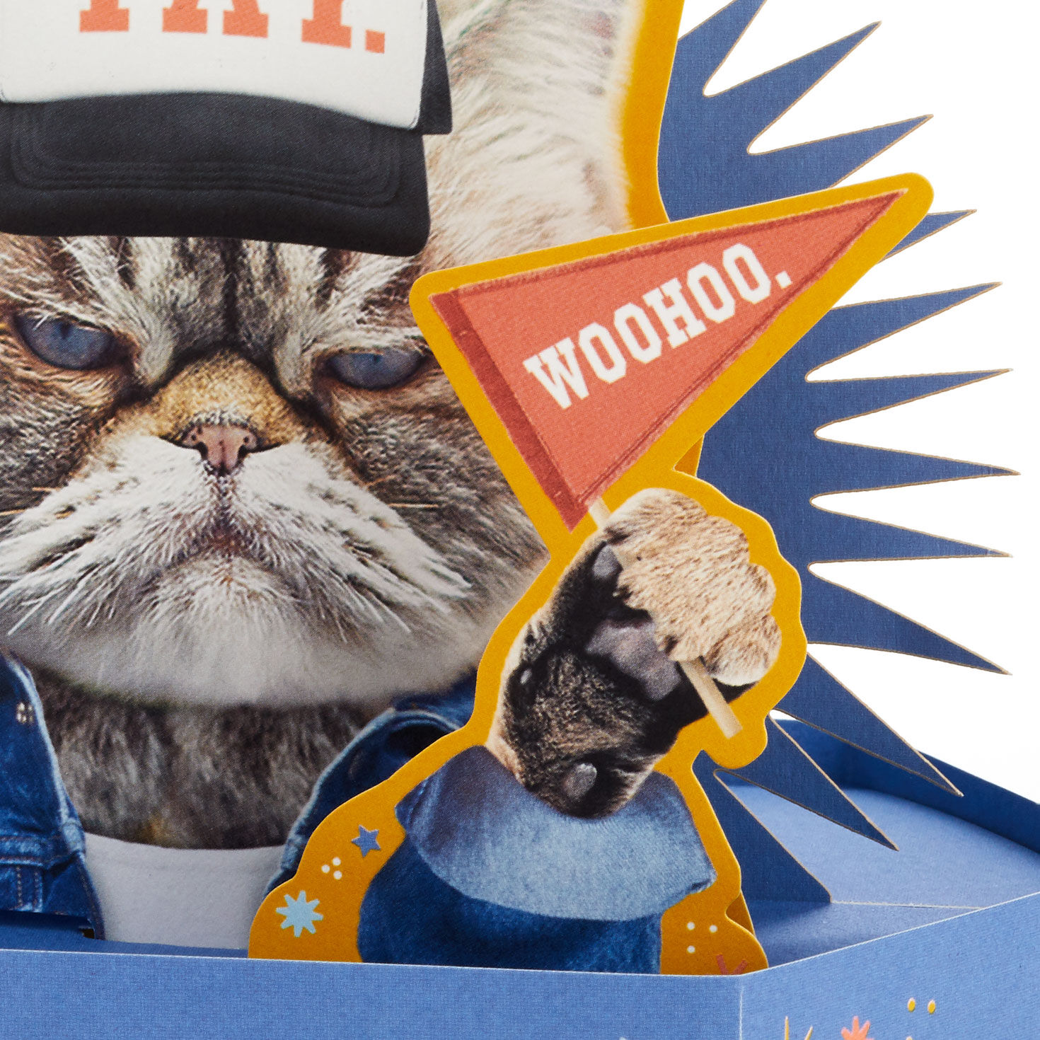 Kevin the Cat So Excited Funny 3D Pop-Up Card for only USD 7.99 | Hallmark