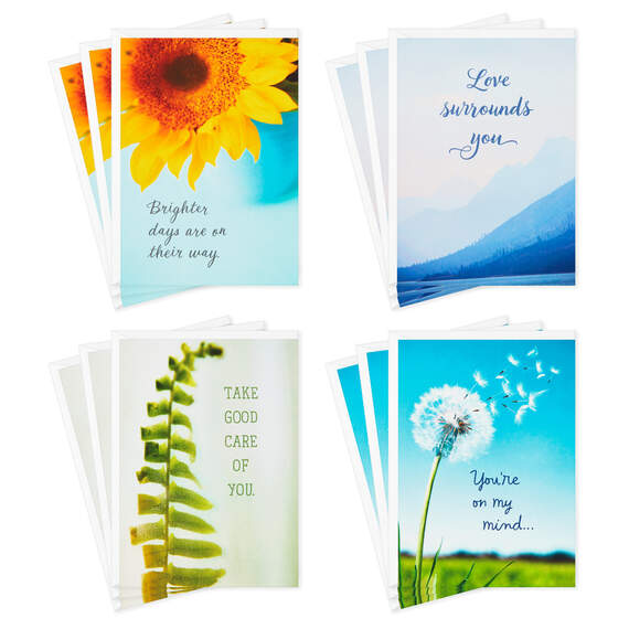 Nature Images Assorted Thinking of You Cards, Pack of 12