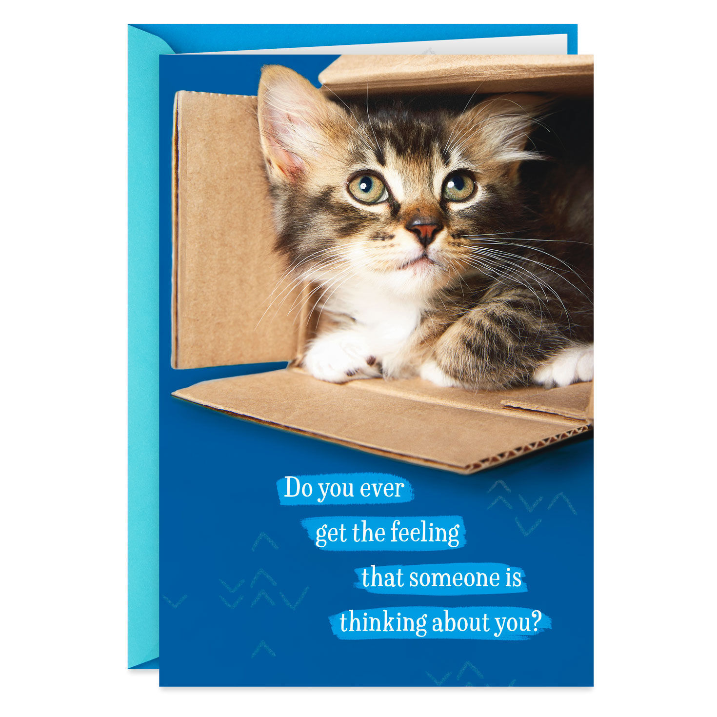 Cat In A Box Thinking About You Father S Day Card Greeting Cards