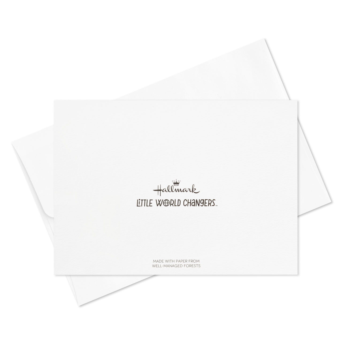 Little World Changers&trade;  Assorted Blank Mini Note Cards, Pack of 12, , large image number 8