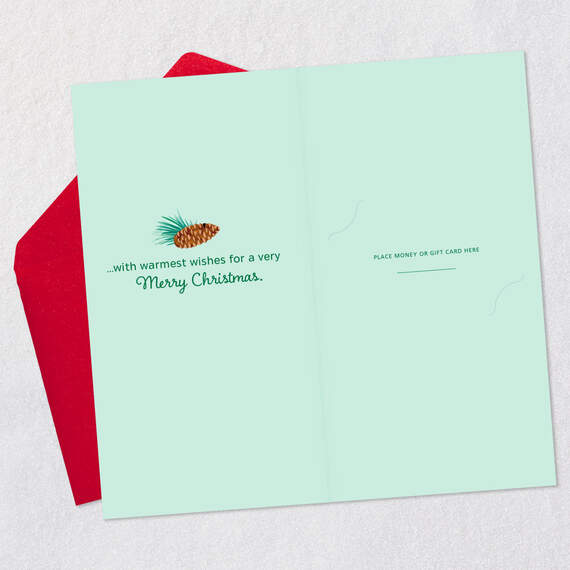 Thanks for Being a Wonderful Person Money Holder Christmas Card, , large image number 4