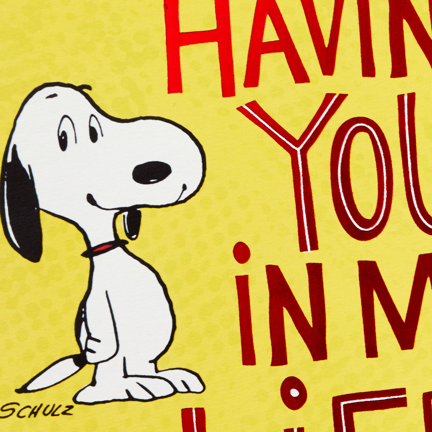Snoopy Happy Dance Pop-Up Birthday Card Card Front Detail image number 4