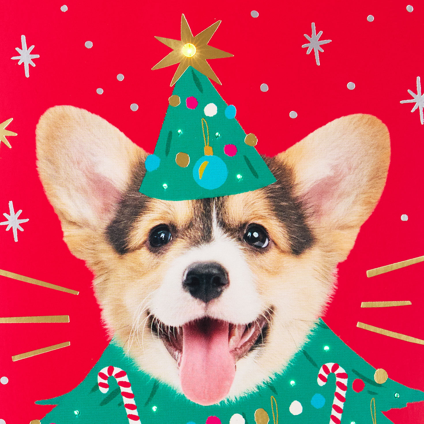 Corgi Christmas Tree Funny Christmas Card Card Front Detail image number 4