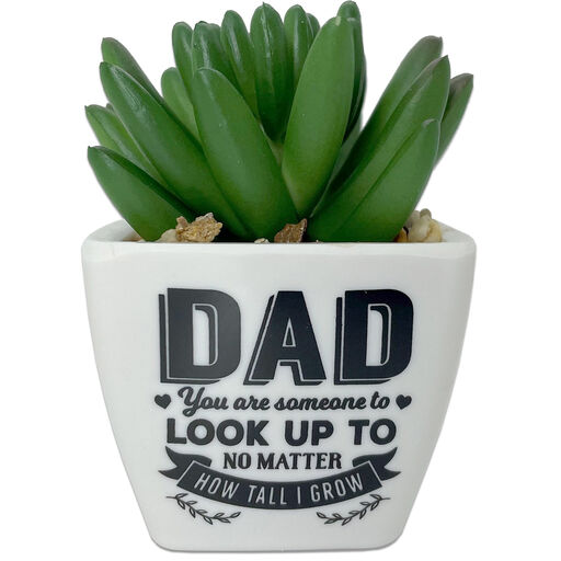 Faux Potted Succulent With Dad Message, 