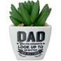 Faux Potted Succulent With Dad Message, , large image number 1