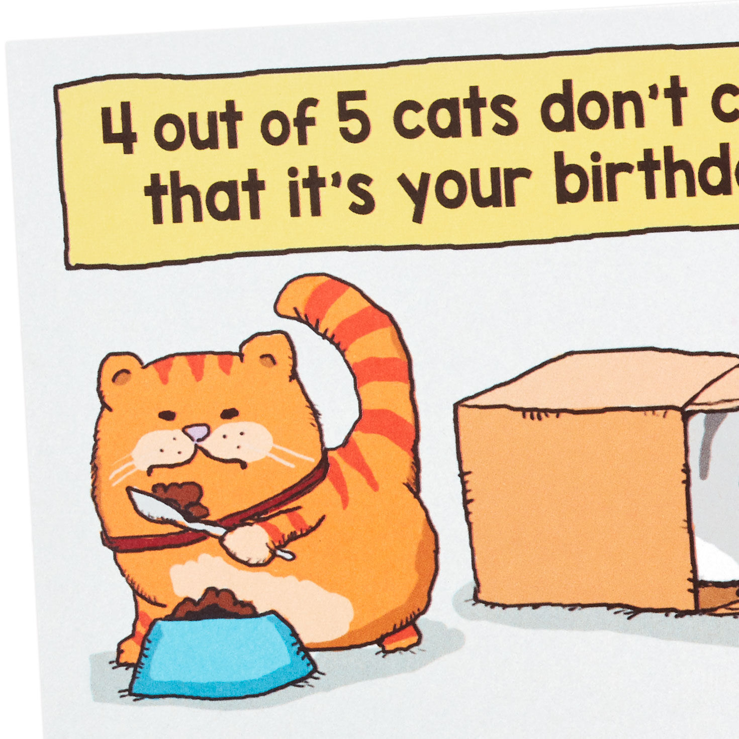Five Cats Not Caring Funny Birthday Card Card Front Detail image number 4
