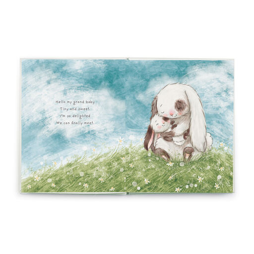 Bunnies by the Bay What Will My Grandchild Call Me? Storybook, 