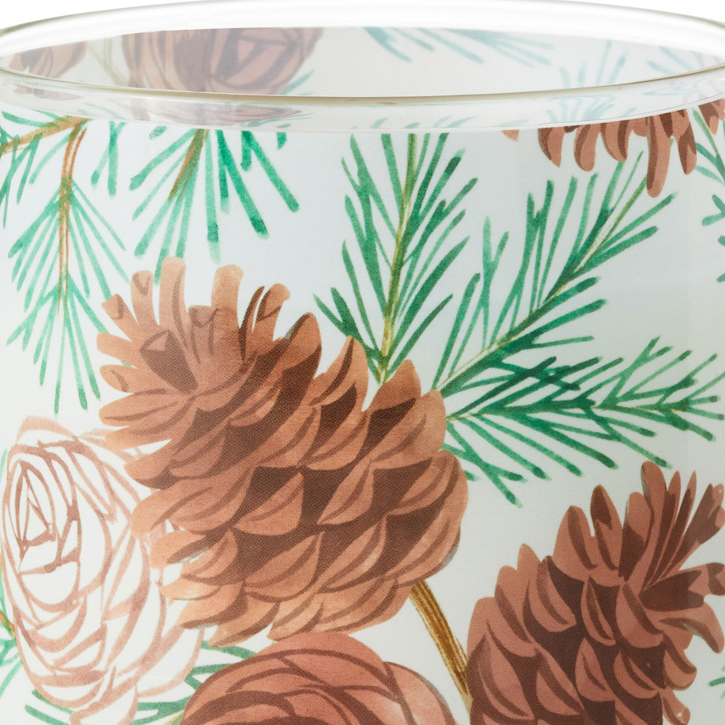 Pine and Birch Scented 2-Wick Jar Candle, 14.5 oz., , large image number 5