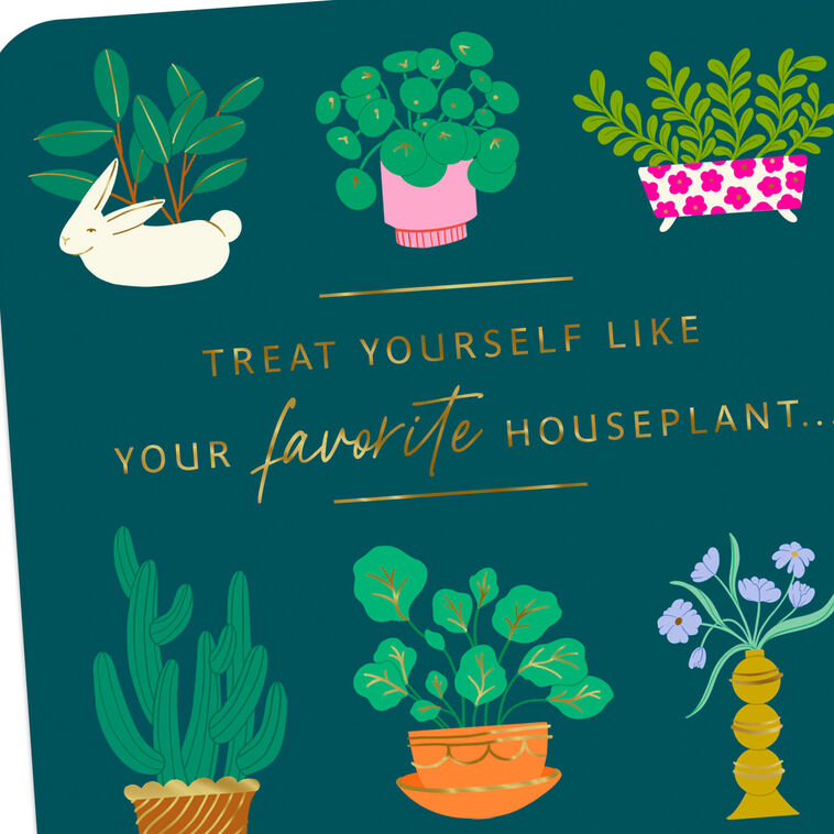 Treat Yourself Like a Plant Funny Birthday Card, , large image number 4
