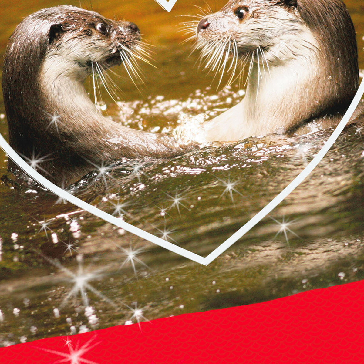 To My Significant Otter Funny Sweetest Day Card - Greeting Cards - Hallmark