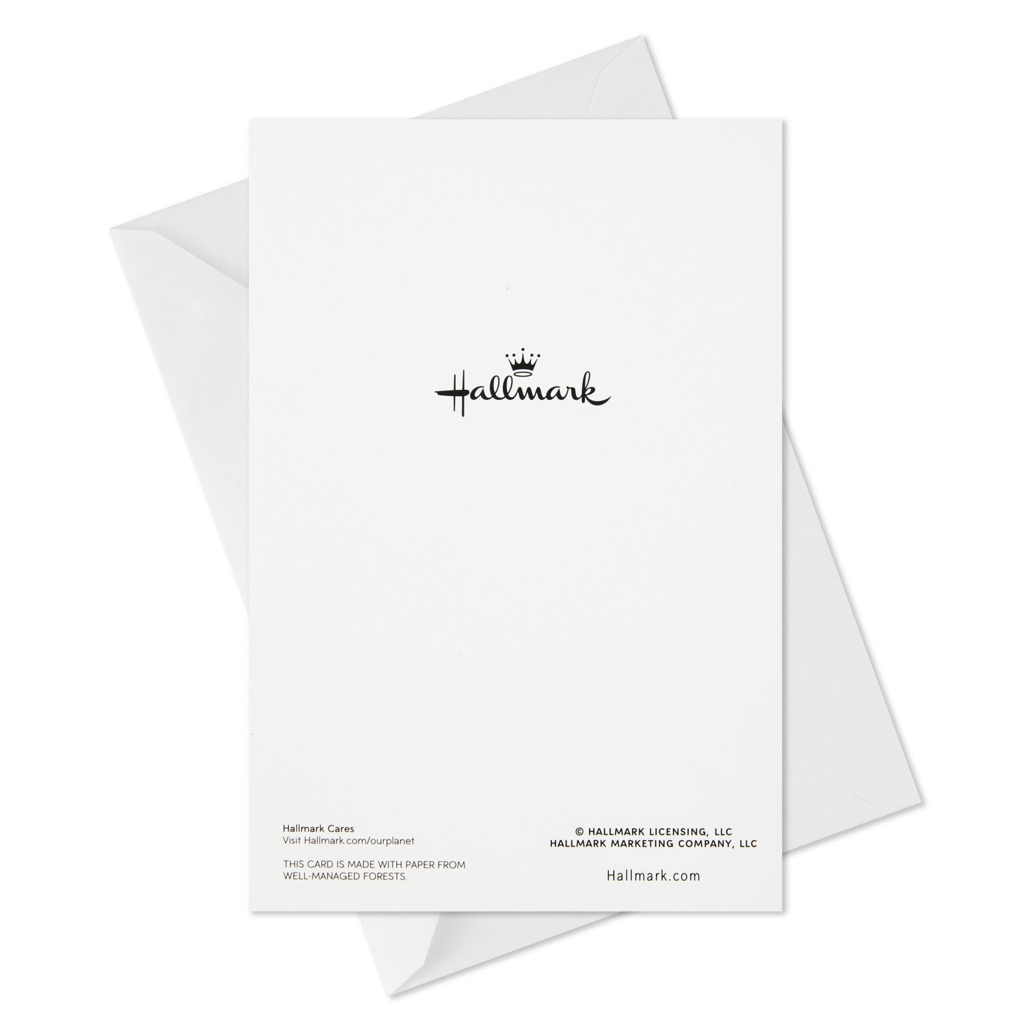 Pine Wreath on Wood Plank Door Boxed Christmas Cards, Pack of 40 for only USD 15.49 | Hallmark