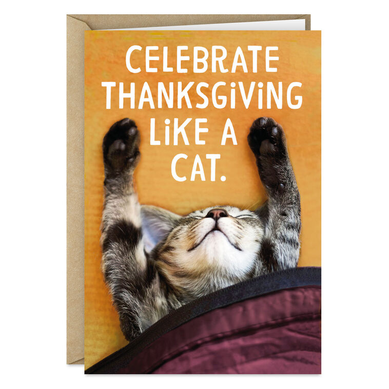 Celebrate Like a Cat Funny Thanksgiving Card