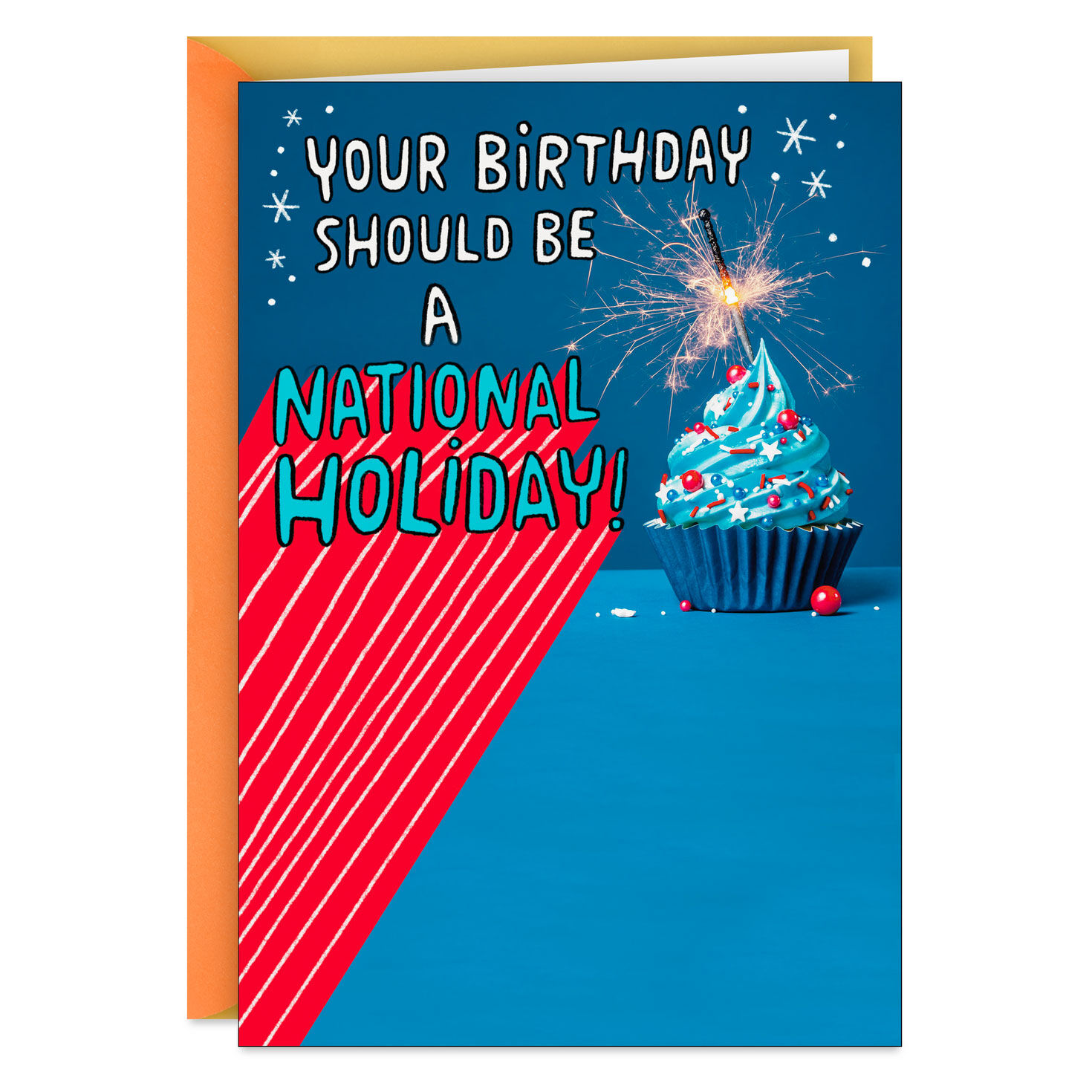 It Should Be a National Holiday Funny Birthday Card