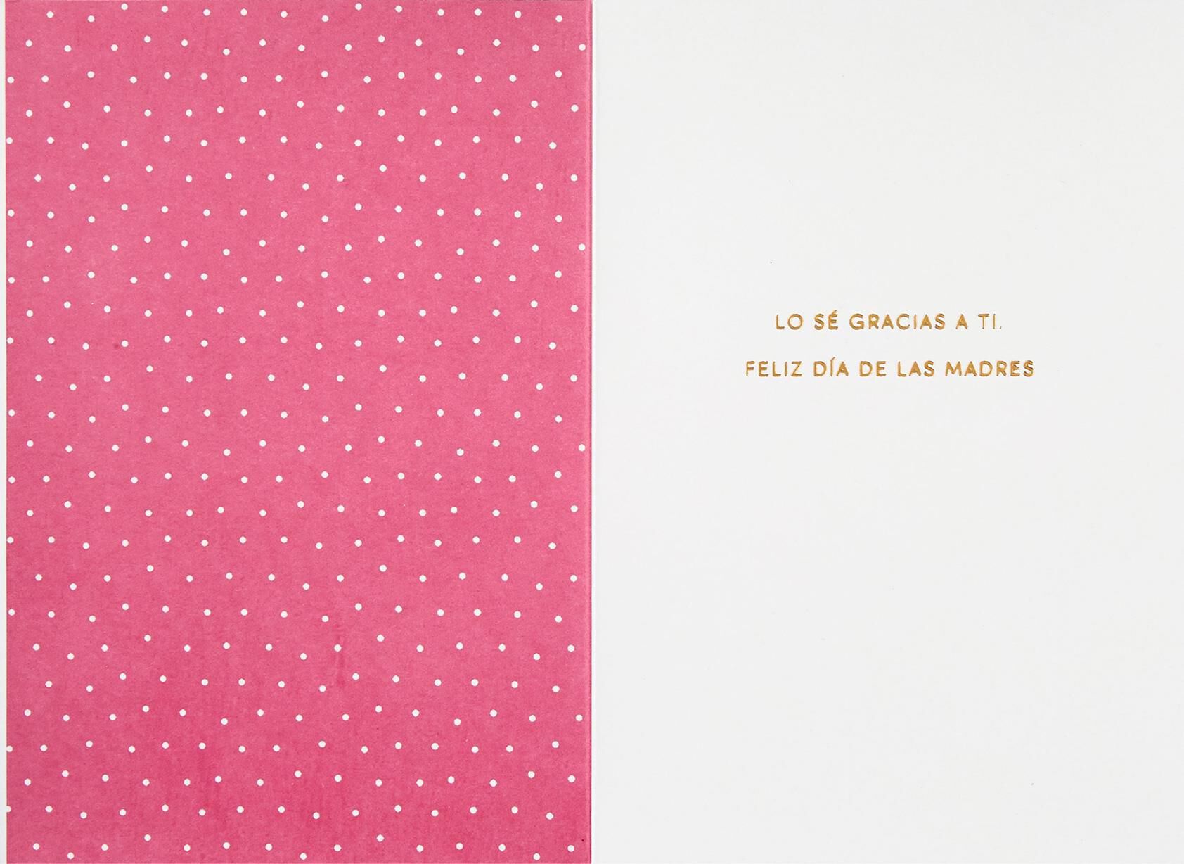 Your Loving Affection Spanish-Language Mother's Day Card