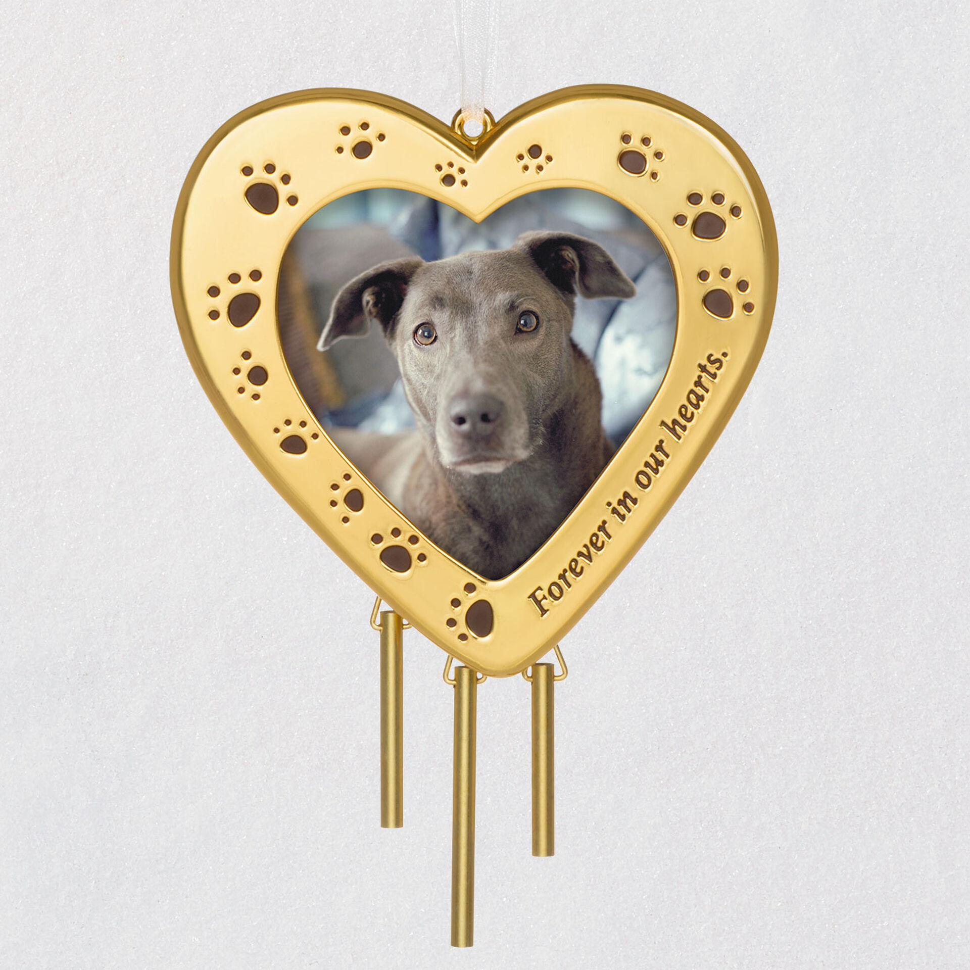 Hallmark 2018 ~ Good Dog Photo Ornament