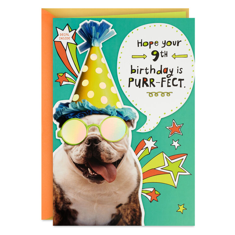 Bulldog in Party Hat Funny 9th Birthday Card With Decal