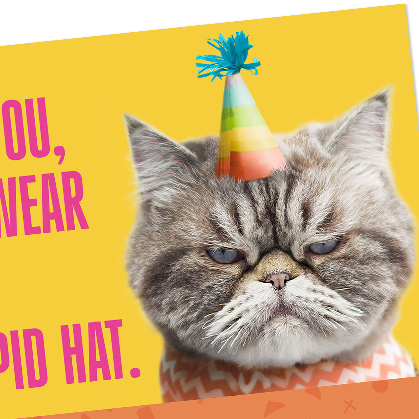 Tabby Cat in Party Hat Funny Birthday Card Card Cover Detail image number 4