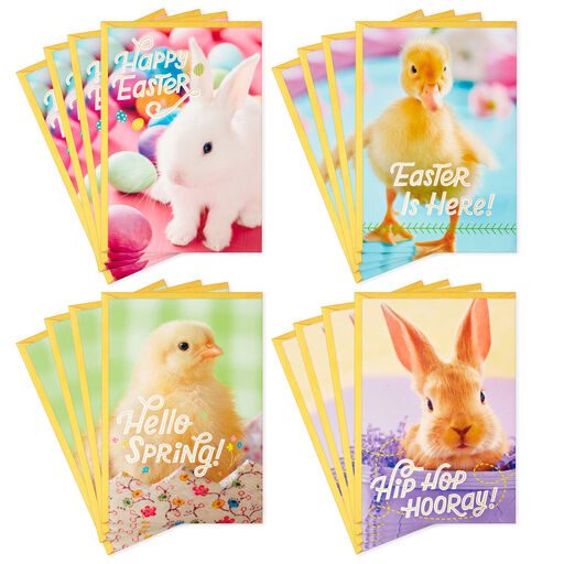 Cute Animals Boxed Easter Cards Assortment, Pack of 16, 