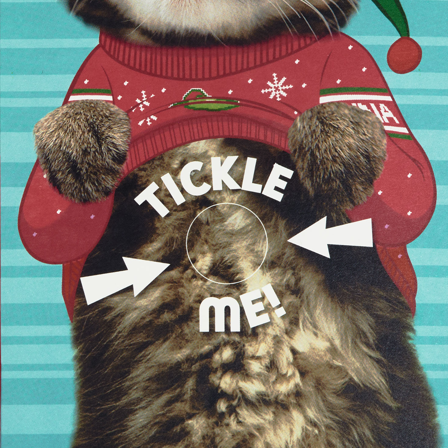 Ticklish Kitten Funny Christmas Card With Sound and Motion for only USD 9.99 | Hallmark