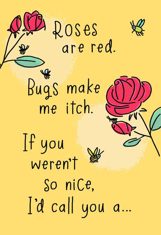 Bugs Make Me Itch Poem Funny Birthday Card, , large image number 1